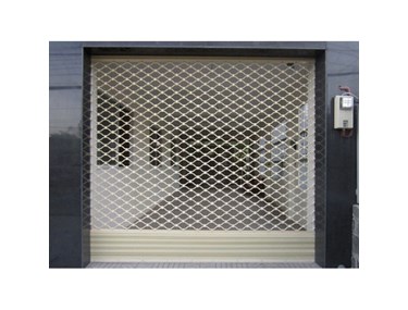 Door mesh